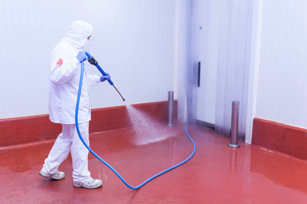 Best Roof Cleaning and Mildew Removal in Brookneal, VA